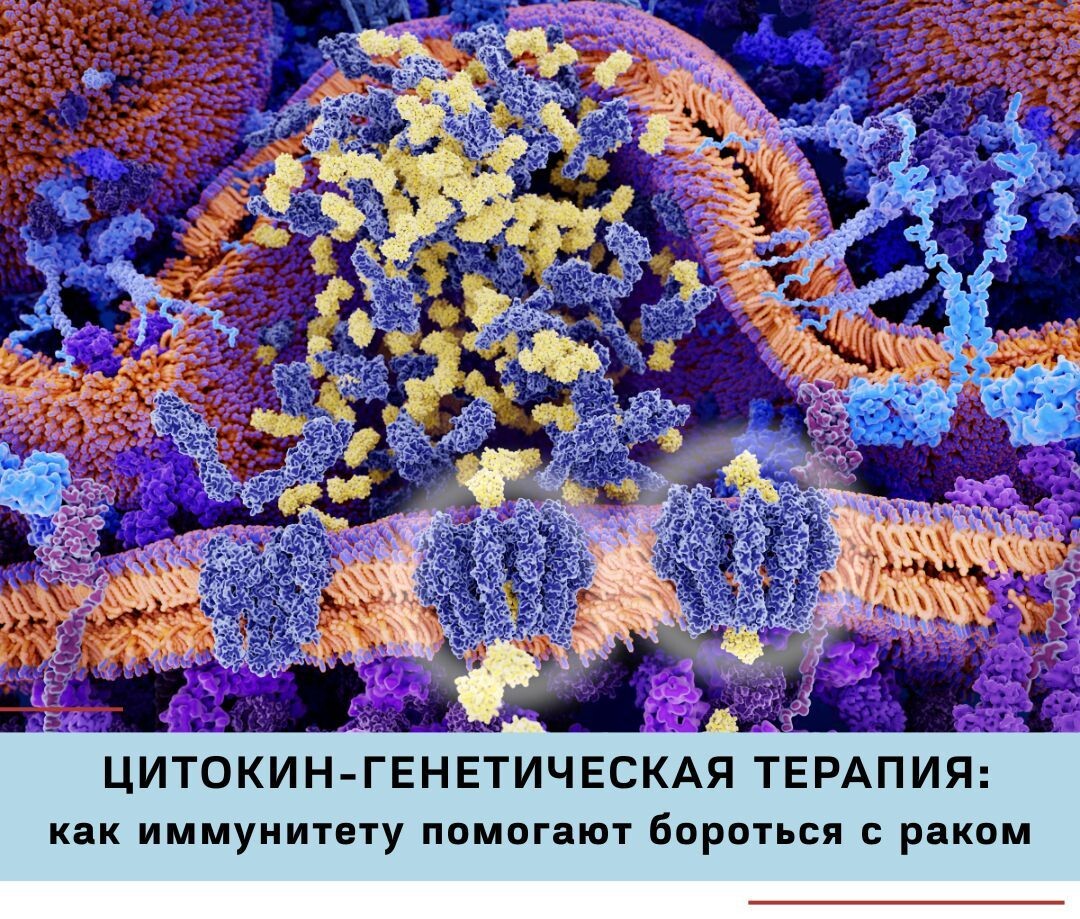 Когда человеку ставят онкологический диагноз, возникает много вопросов:
почему организм сам не справляется? можно ли «подтолкнуть» иммунитет? Какие есть современные методы лечения?