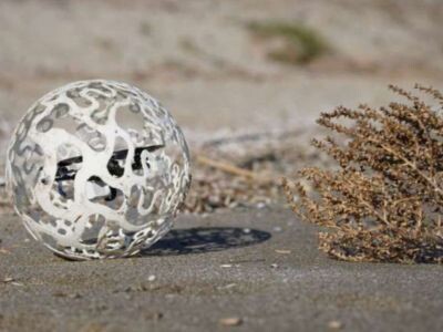    Перекати-поле вдохновило инженеров на создание гибридного робота