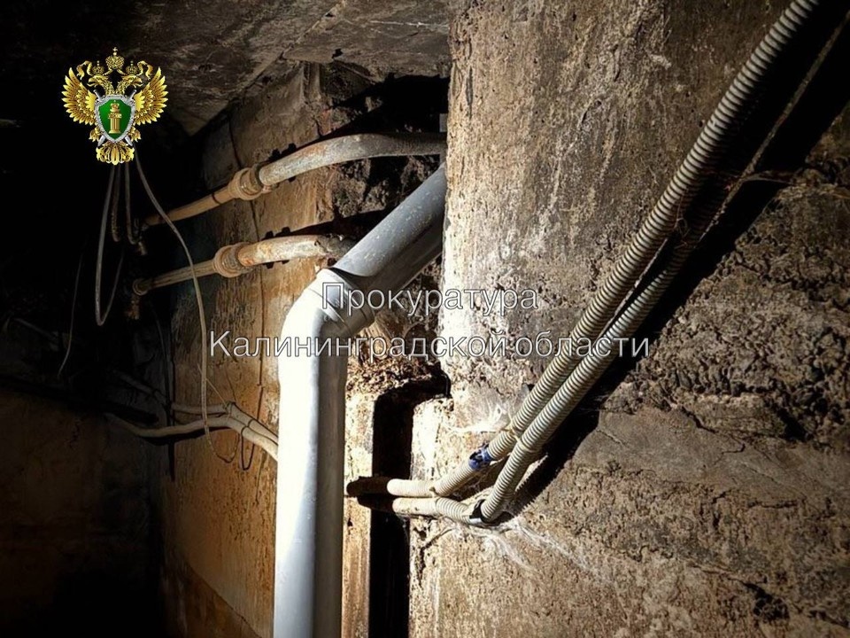    . пресс-служба прокуратуры Калининградской области