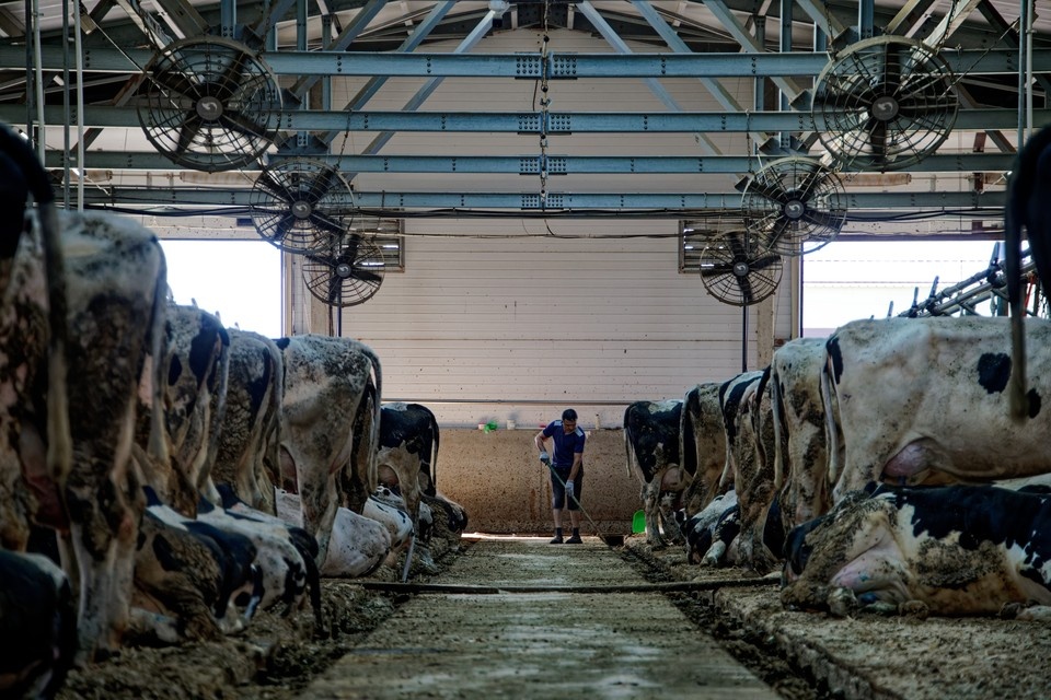    Ветеран СВО надеется на поддержку государства в развитии фермерского хозяйства (архивное фото) Иван МАКЕЕВ