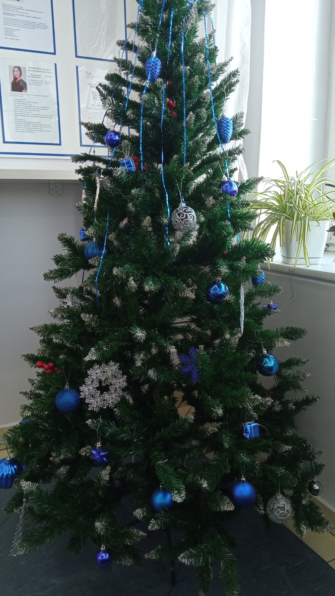 Елочка в клинике