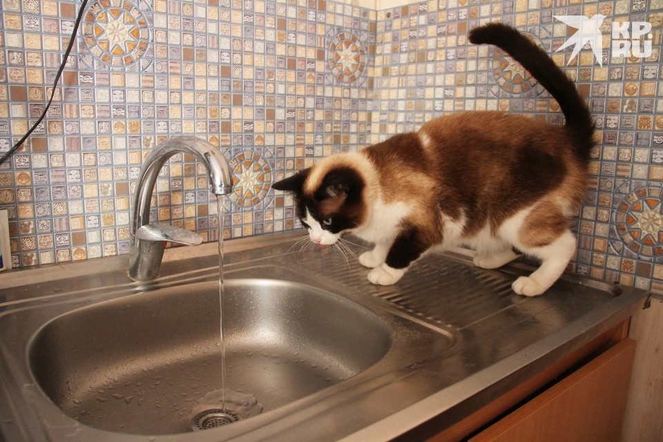    Новый тариф на холодную воду и водоотведение в Рязани утвердила РЭК Роман ИГНАТЬЕВ