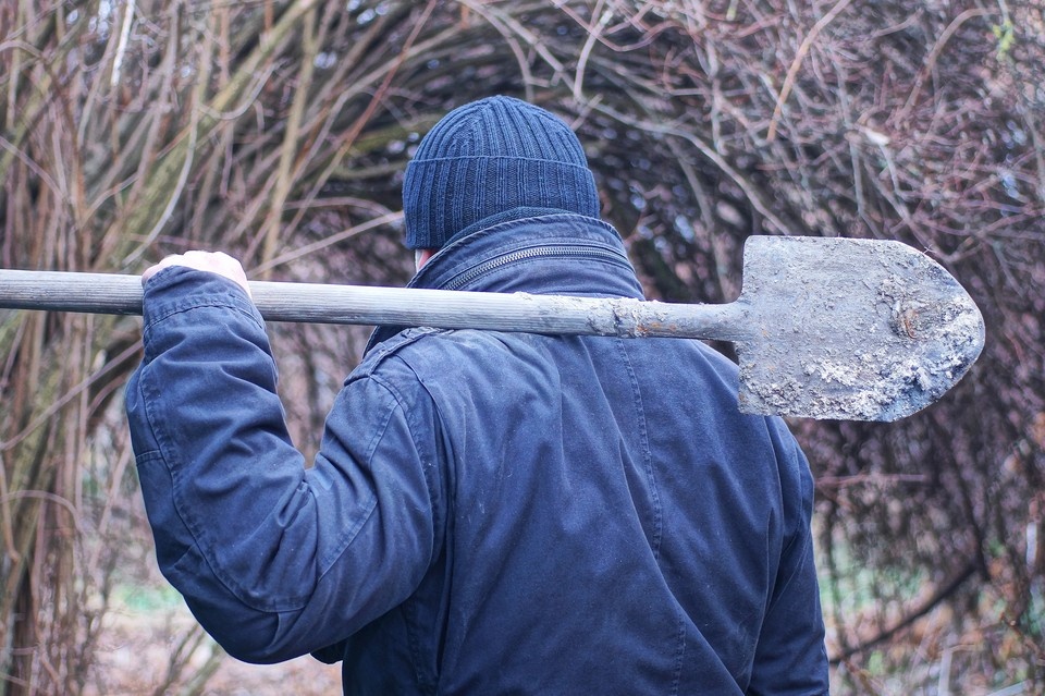    Зять закопал тещу на кладбище домашних животных и набрал на нее кредиты. Фото: Butus/Shutterstock/Fotodom.