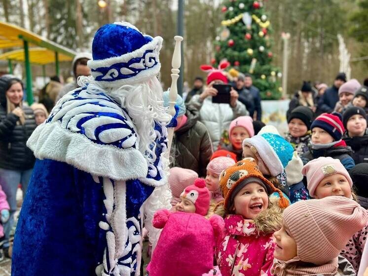     Фото: Стефан Перевалов/ТГ