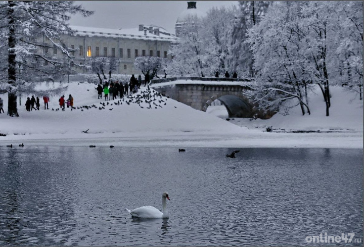 фото: Валентин Илюшин/Online47