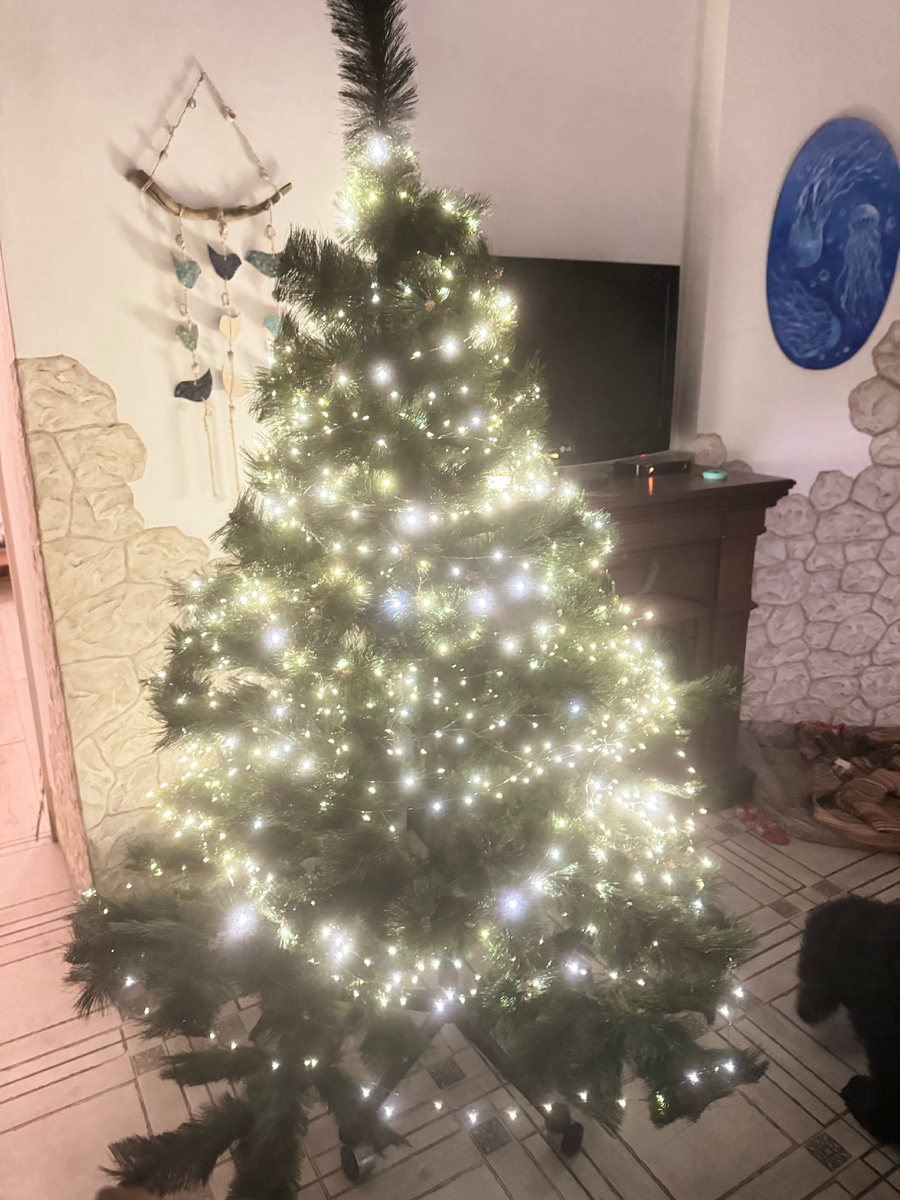 Елка на начальной стадии нарядности