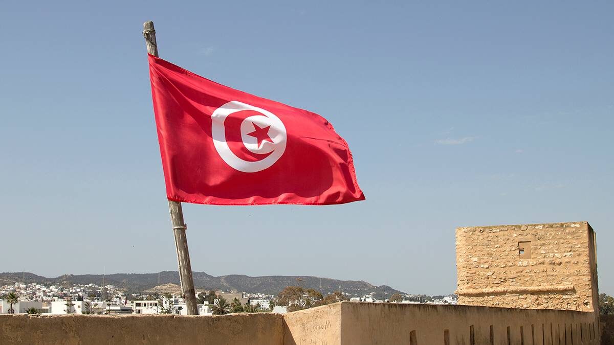    Фото: Shutterstock