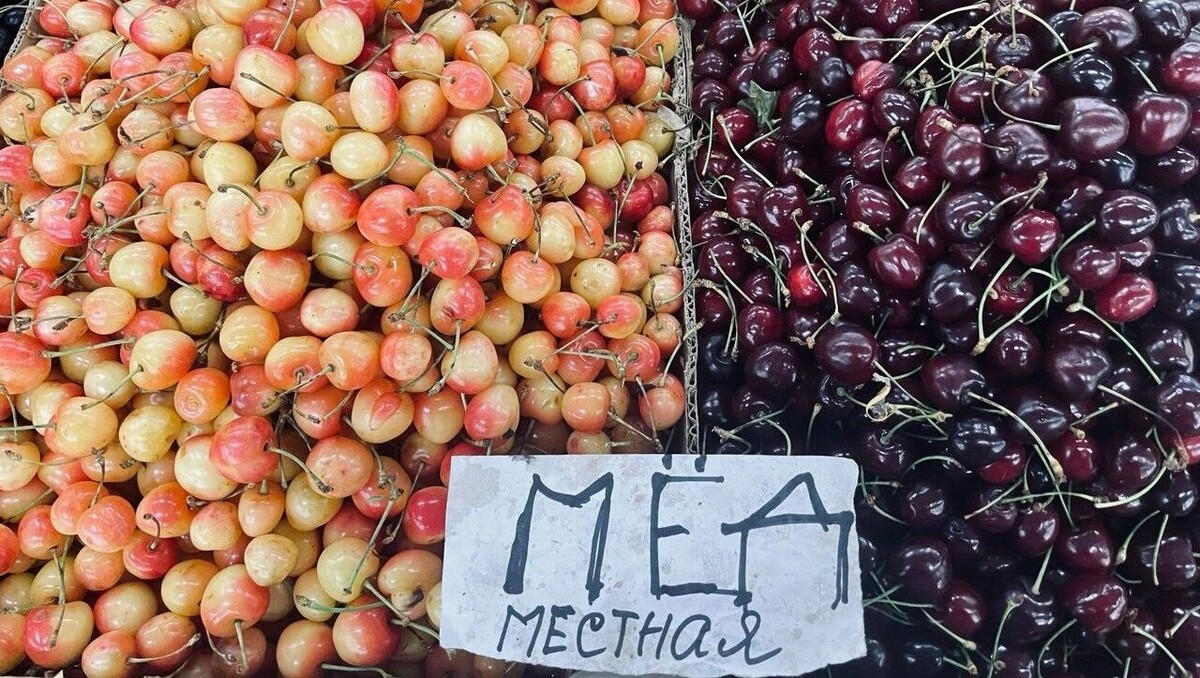     Источник: rostovgazeta.ru