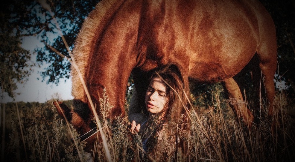 Он приходил дважды. Как 40-летний садист восемь месяцев терроризировал конный клуб