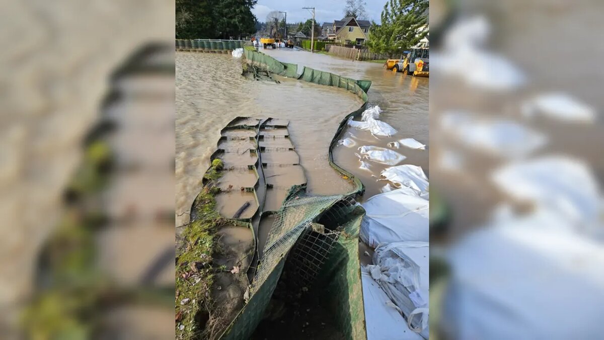 Проблема ▶️