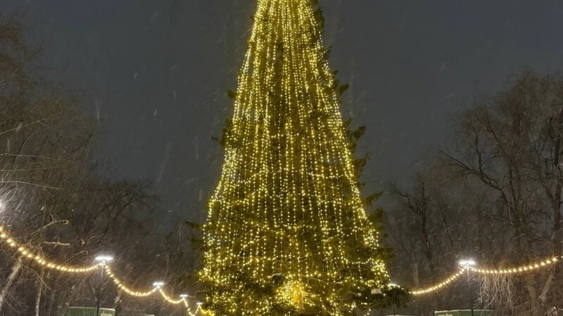     Новогодняя елка в парке «Изумрудный». Altapress.ru