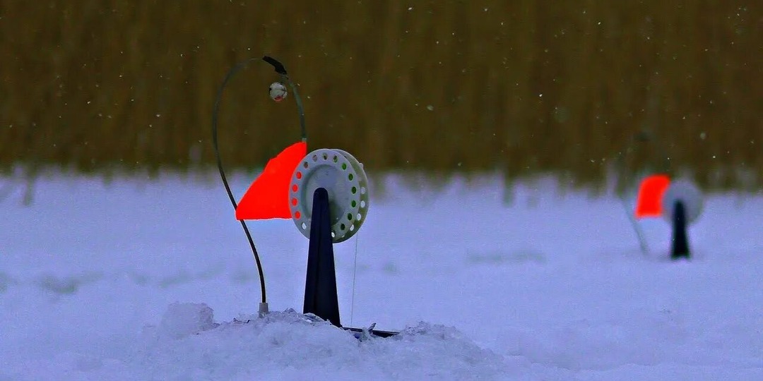 Секрет успешной ловли щуки на жерлицы: Разрушаем мифы, открываем реальные факты