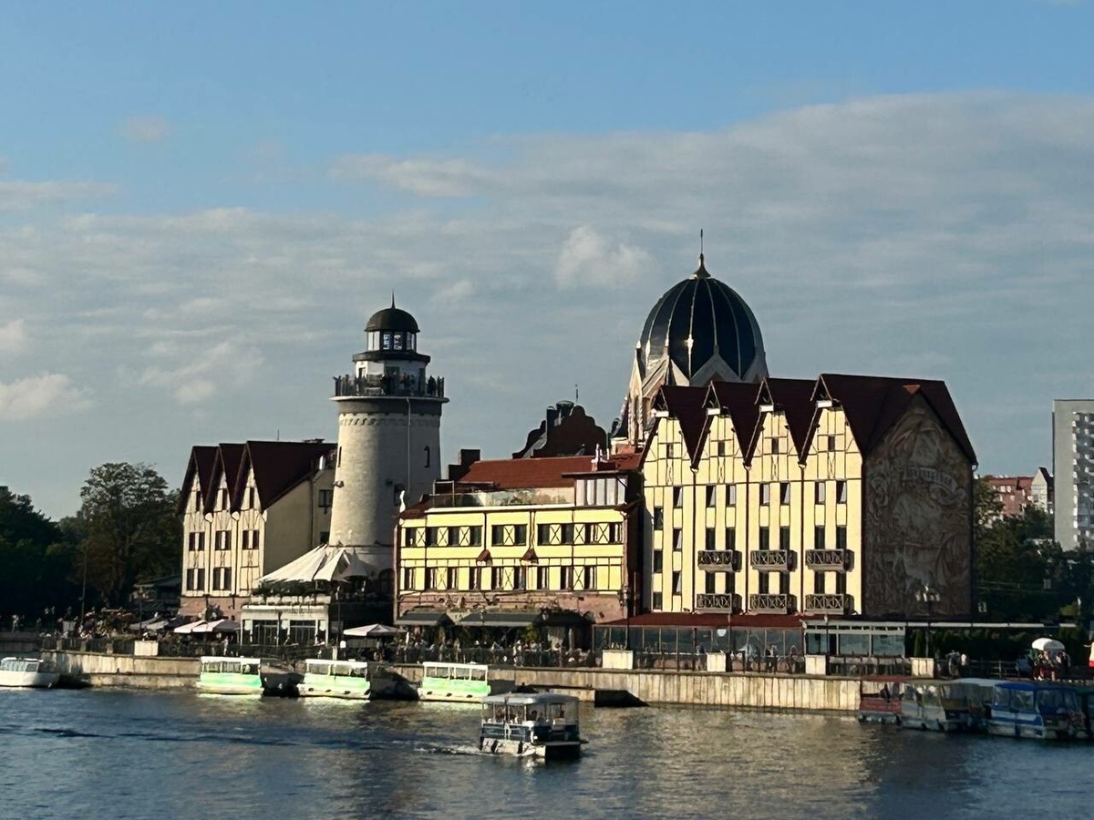     Фото: Бриф 24