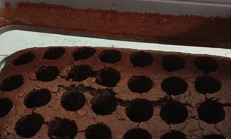 ���� ������� �������: ������, ������� ������� ����� ���� ������ ����������