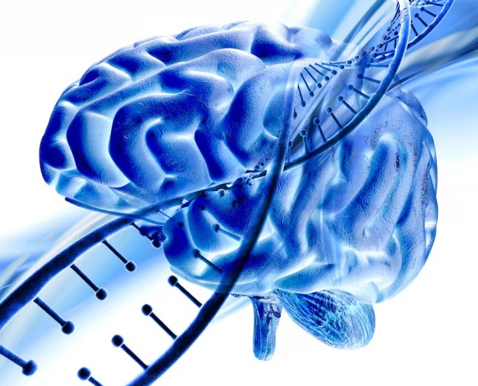    фото: фрипик