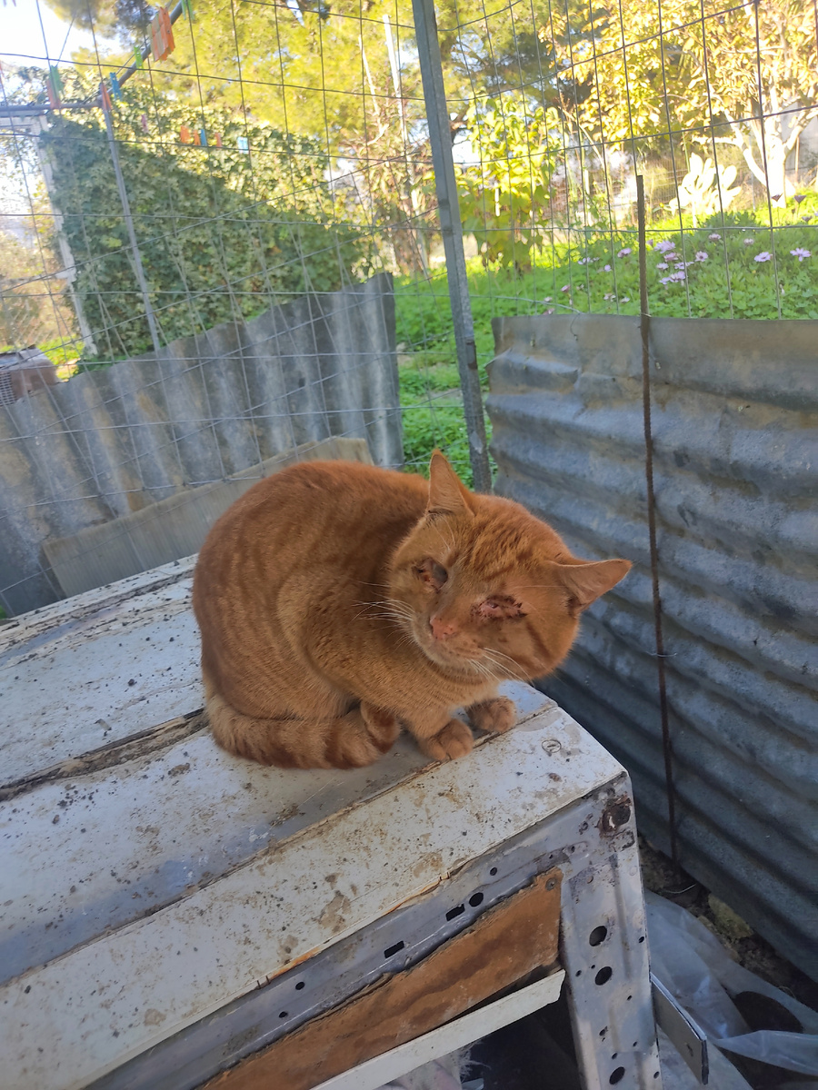 Жизнь в постоянном напряжении.