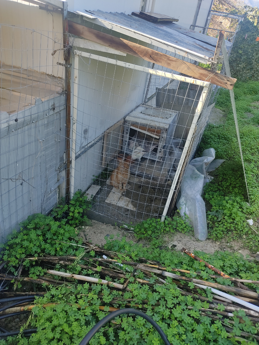 Ждёт завтрак.