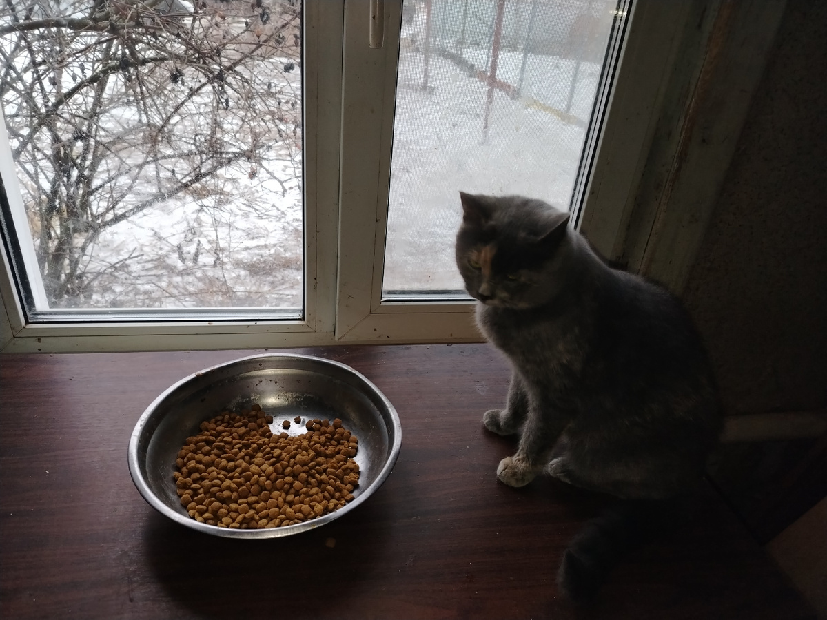 Завтрак у Малуши