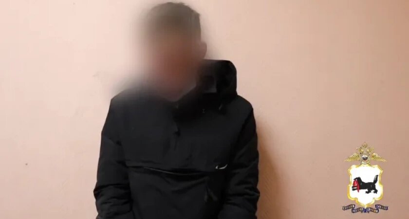    Скриншот из видео МВД