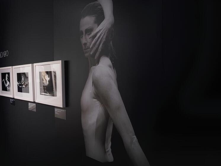     Фото: Telegram-канал Дмитрия Миляева