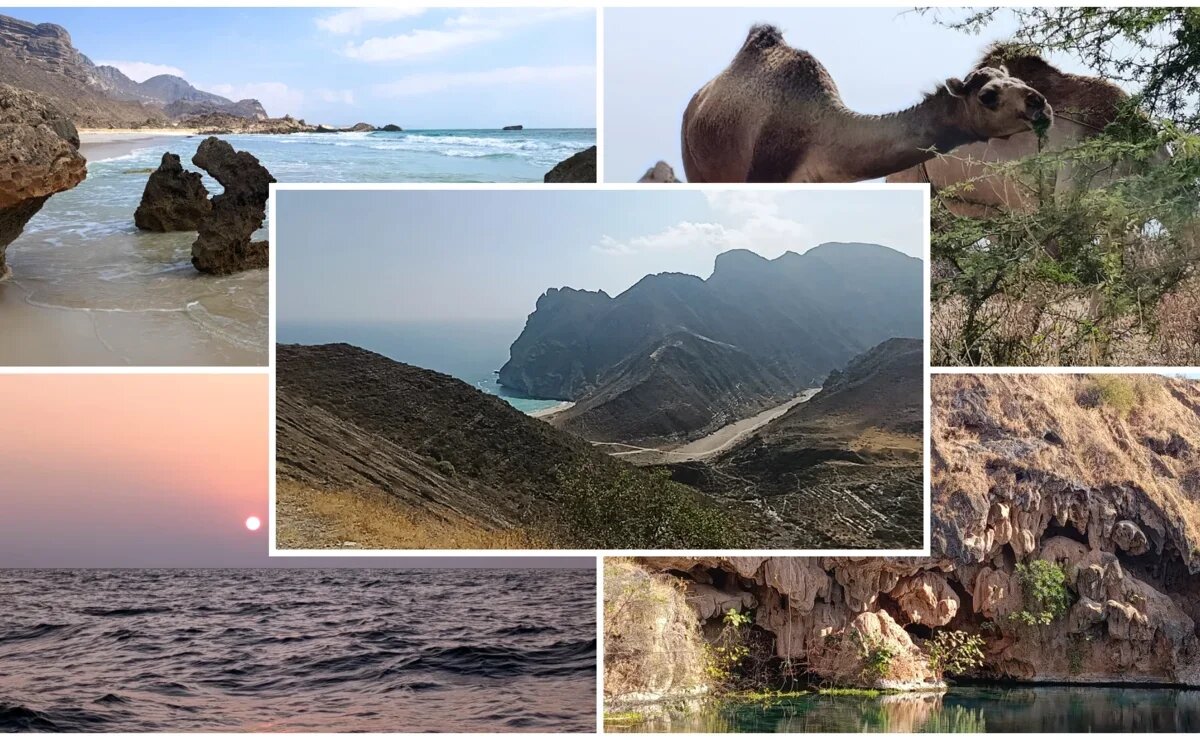    Новый зарубежный курорт с горами и белым песком: что посмотреть на пляжном отдыхе в Омане