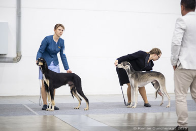 Сэхра Эль Мор Бахт и Мерген Басир