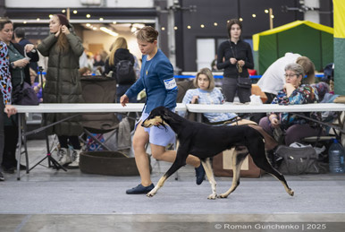 Сэхра Эль Мор Бахт