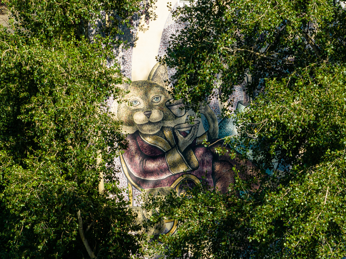 Фото: "Центр 800" / А. Ефимов