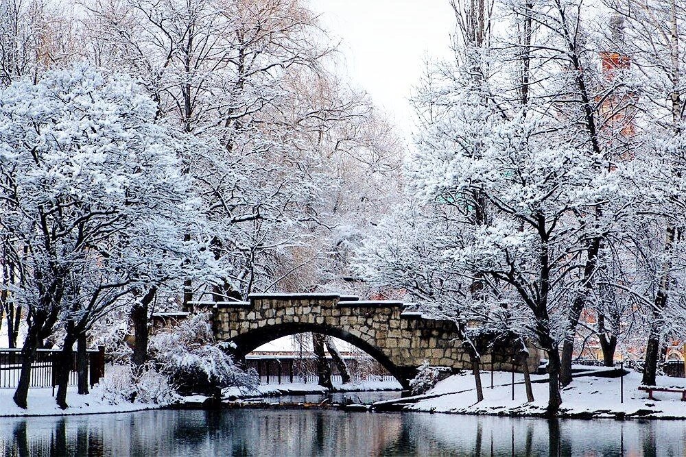    Фото: открытый источник