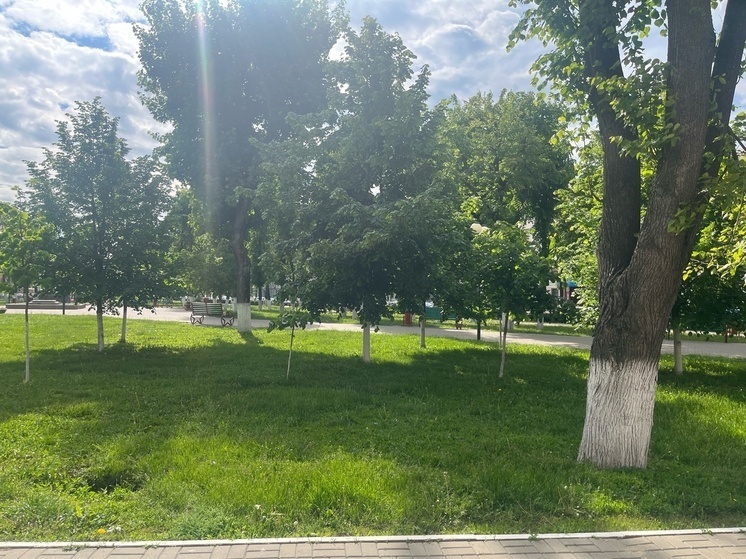     Фото: "МК Донбасс"/Марианна Образцова