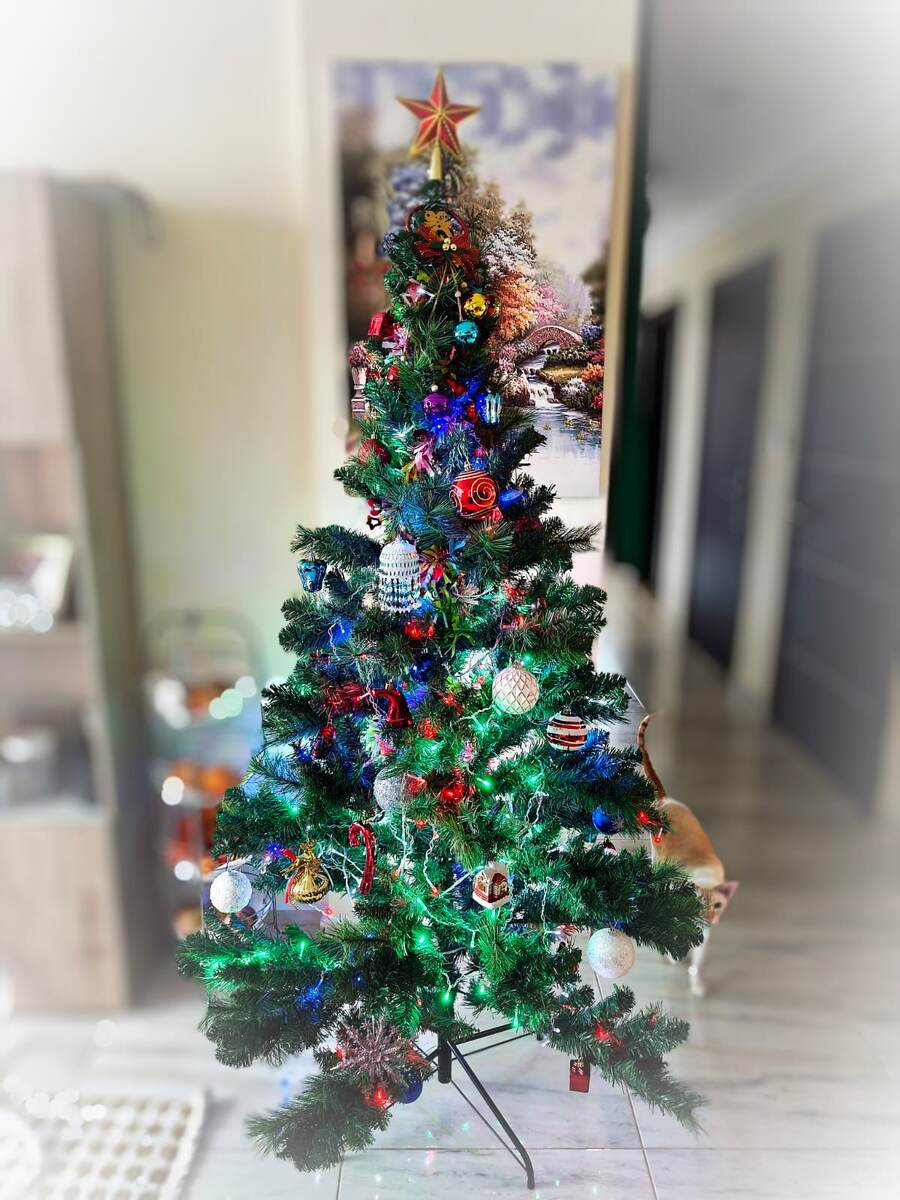 Моя новогодняя ёлка, которую я все же поставила, а за елкой Тутанхамон передает всем привет (фото из личного архива)