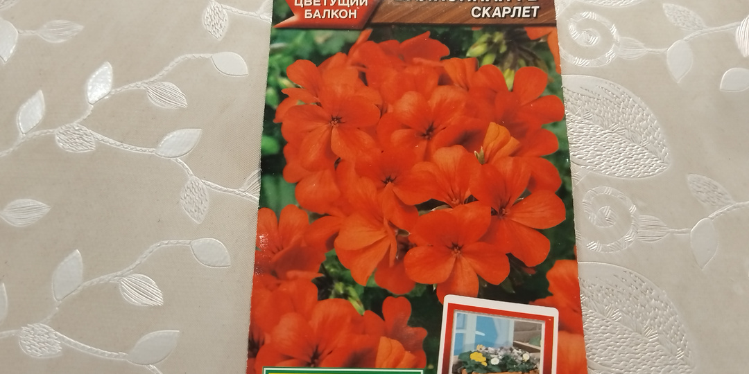 Мои нужные, любимые покупки с Wildberries.