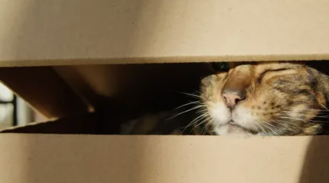 Фото: istockphoto.com.