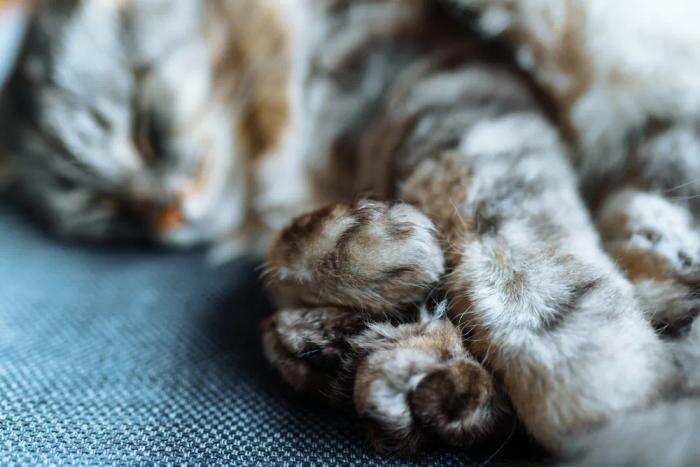 Обложка © Shutterstock / FOTODOM / larisa Stefanjuk