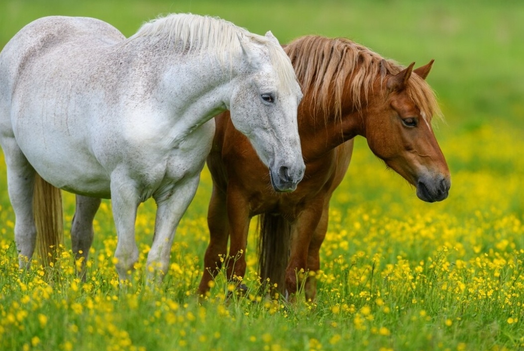 Иллюстрация  freepik.  com 