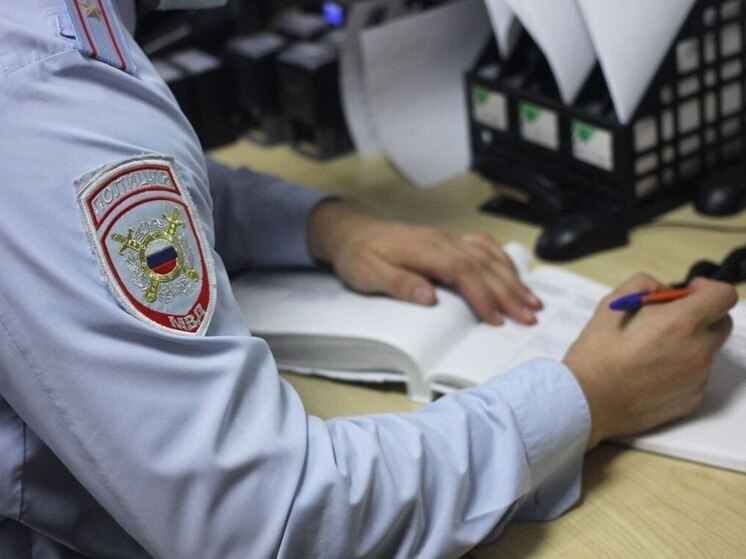     Фото: пресс-служба ГУ МВД России по СК