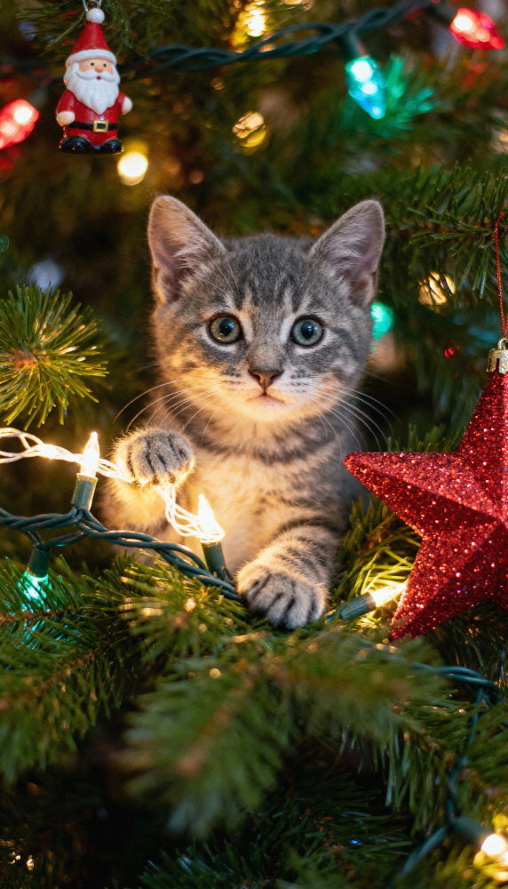 Создано в Freepik