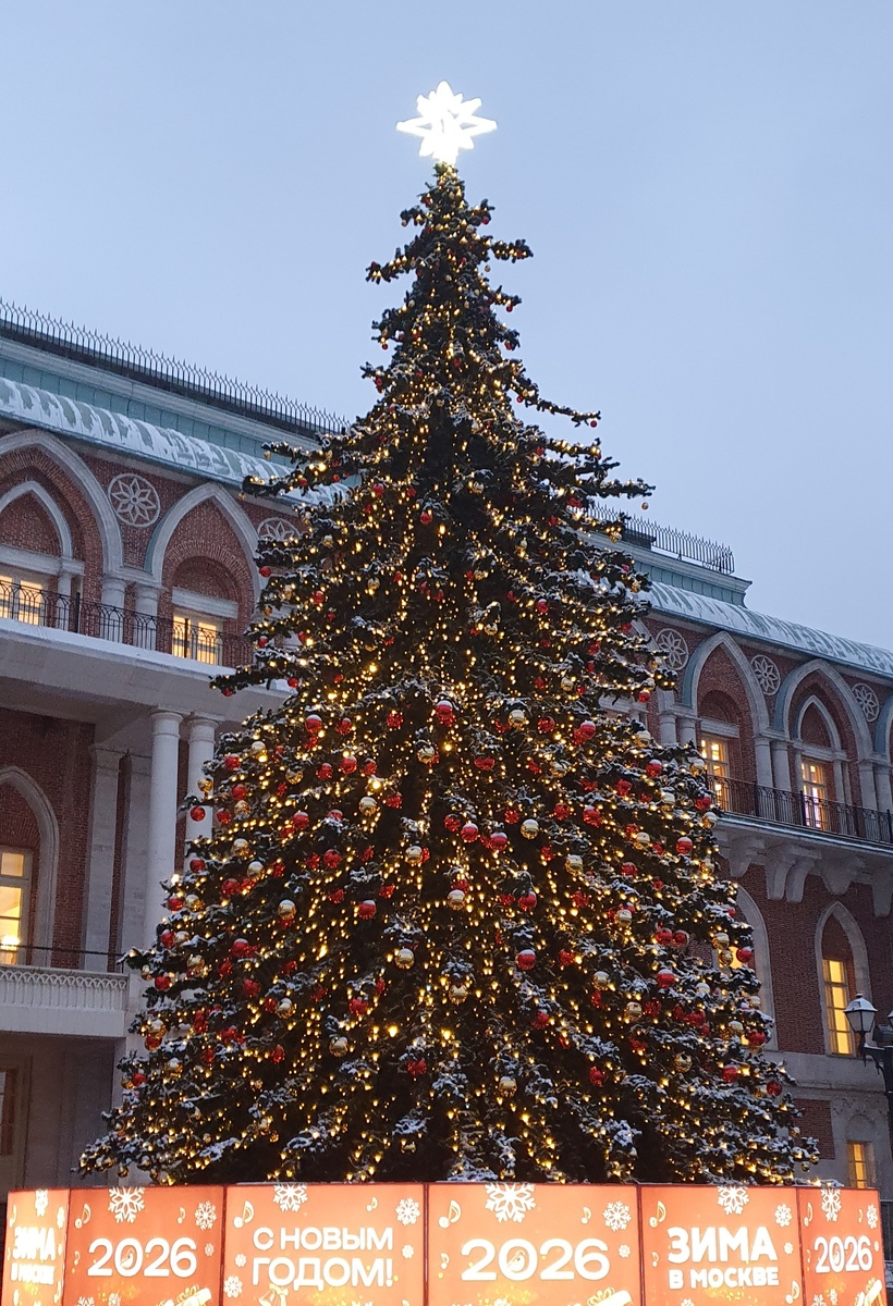 Ёлка в парке Царицыно. Фото автора.
