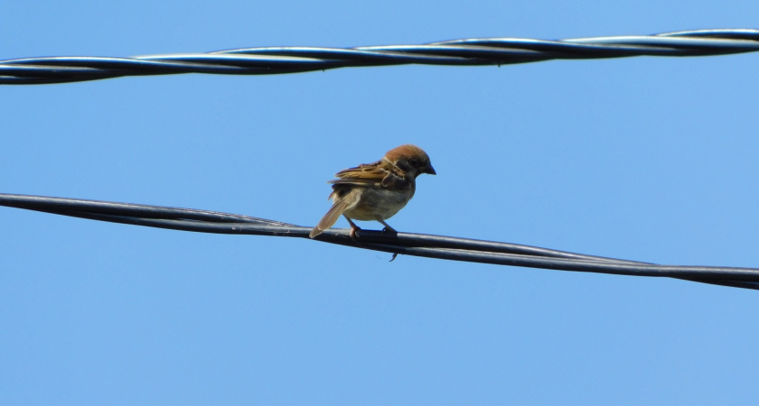    Фото Вячеслав Вольгин
