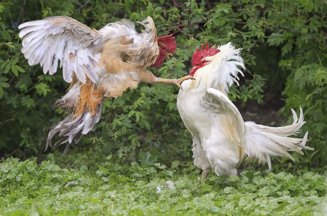 Фотография из интернета