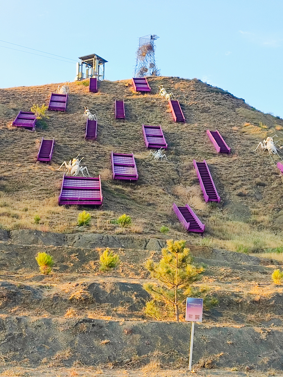 Фото автора.