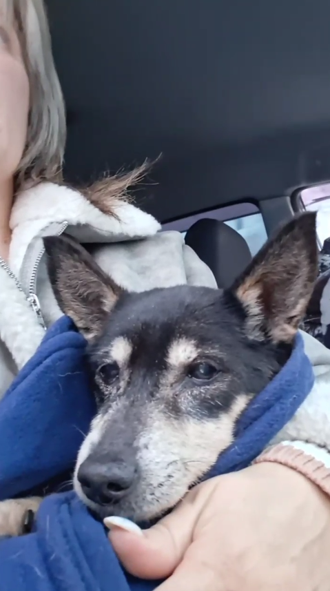 Снова едем в клинику на капельницу