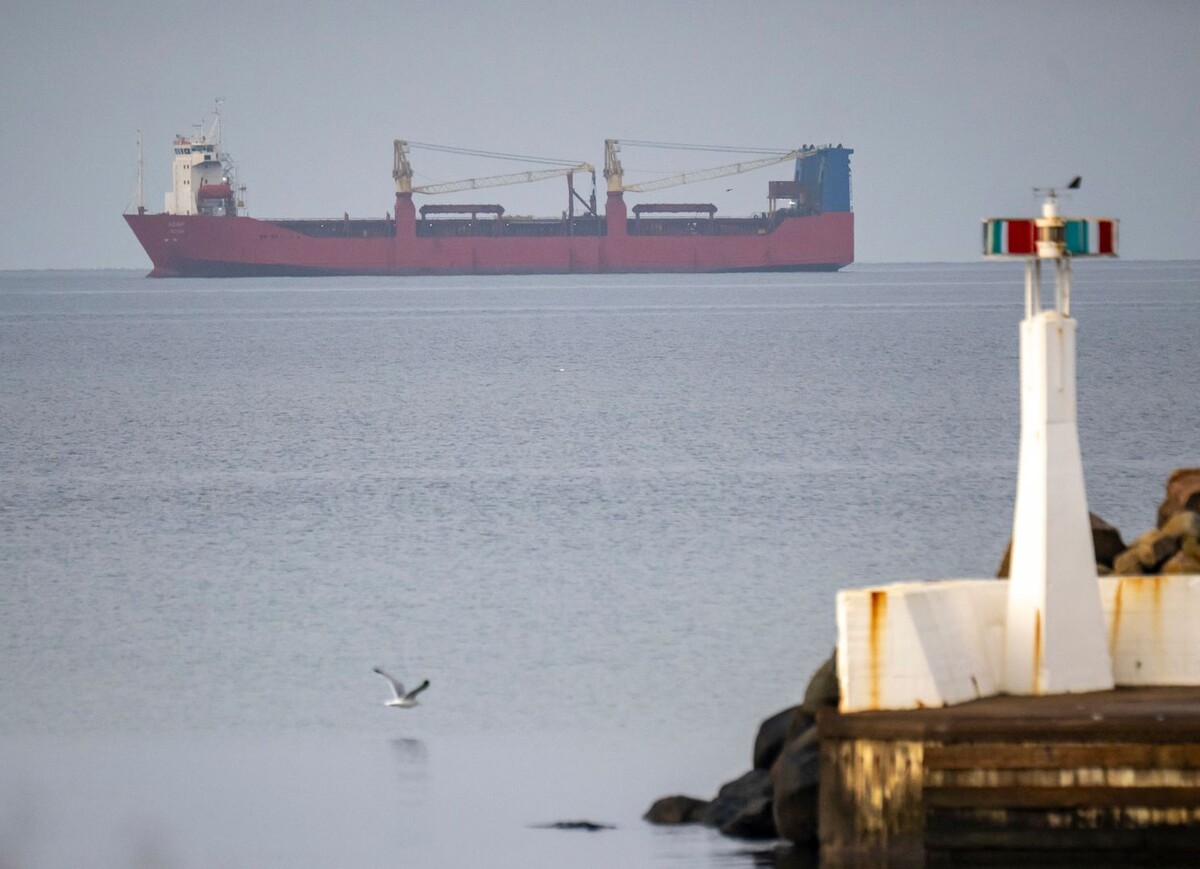     / Источник: © Global Look Press