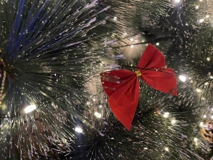     Фото: МК в Крыму