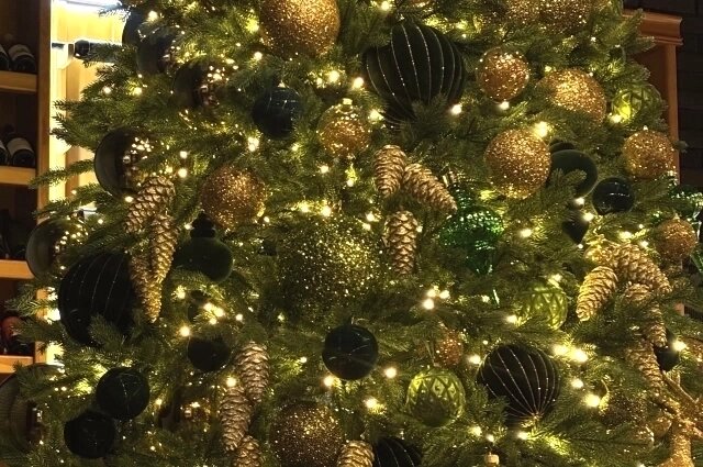    Фото: АиФ/ Алена Таскаева