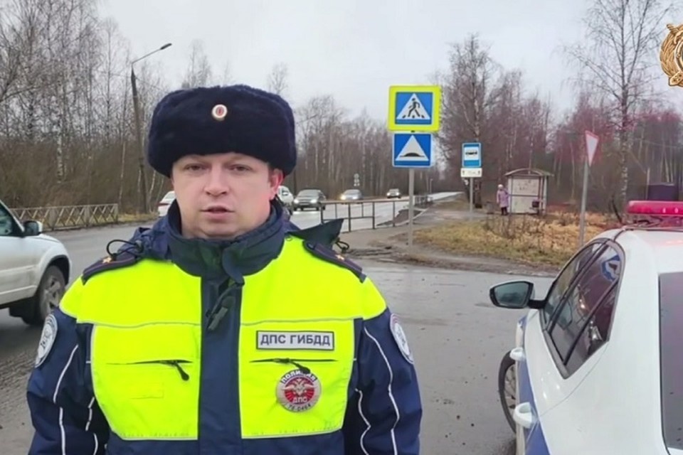    Пешеход погибла. Фото: УМВД РФ по Ярославской области.