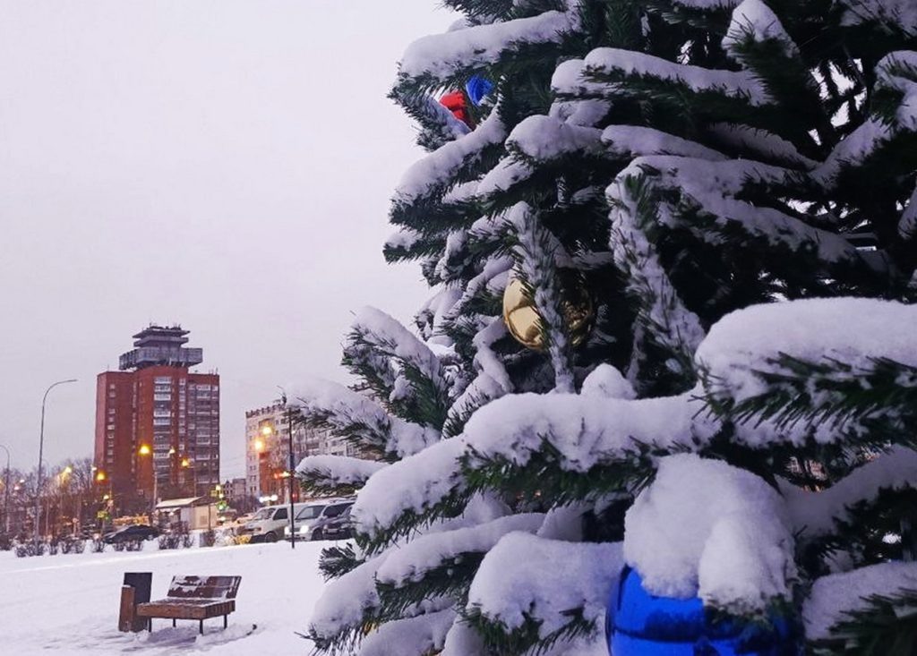    Алена Федорова