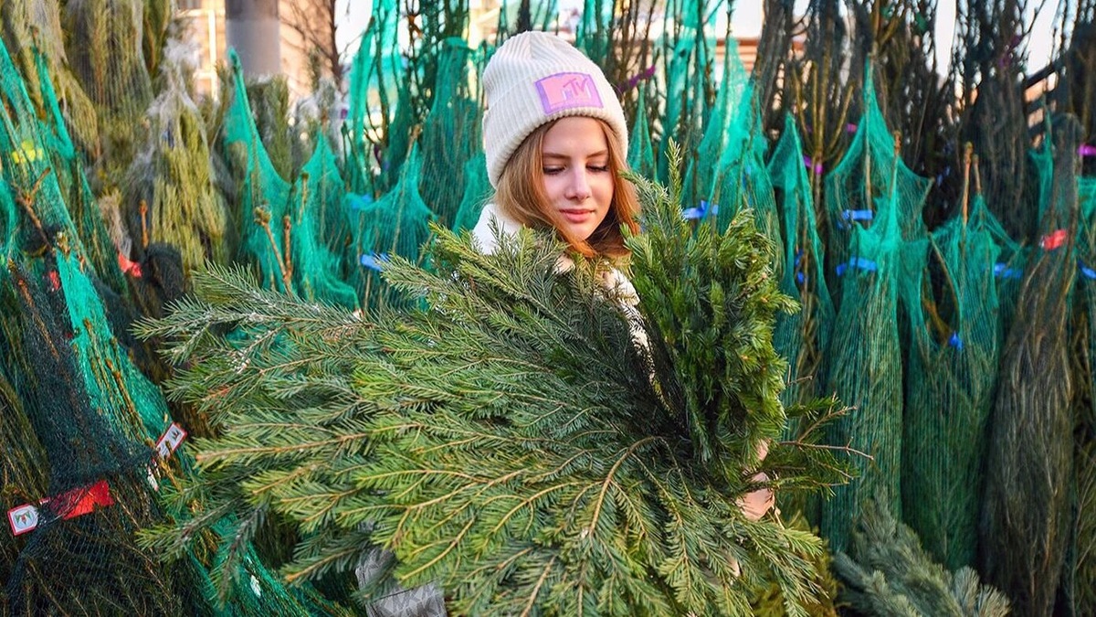    Источник: Юлия Иванко. Mos.ru