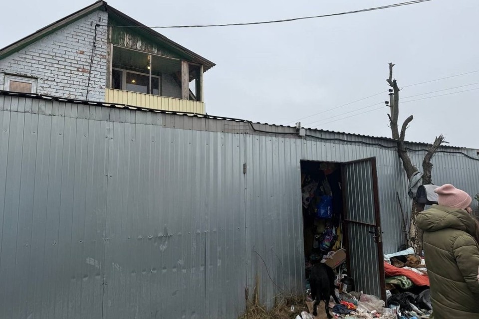    Тела животных находятся везде. Фото: Алена Кравцова.