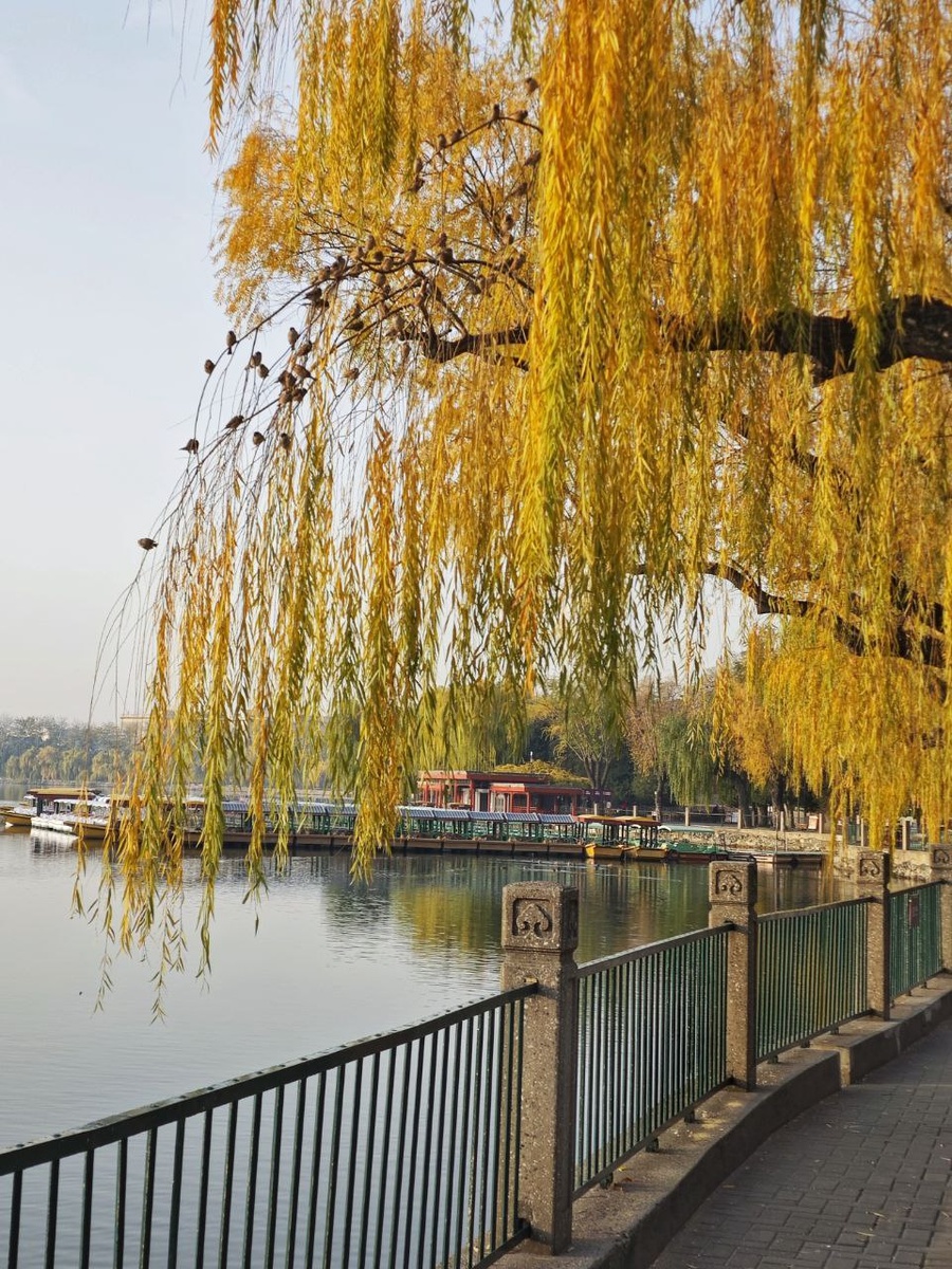 Парк Бэйхай